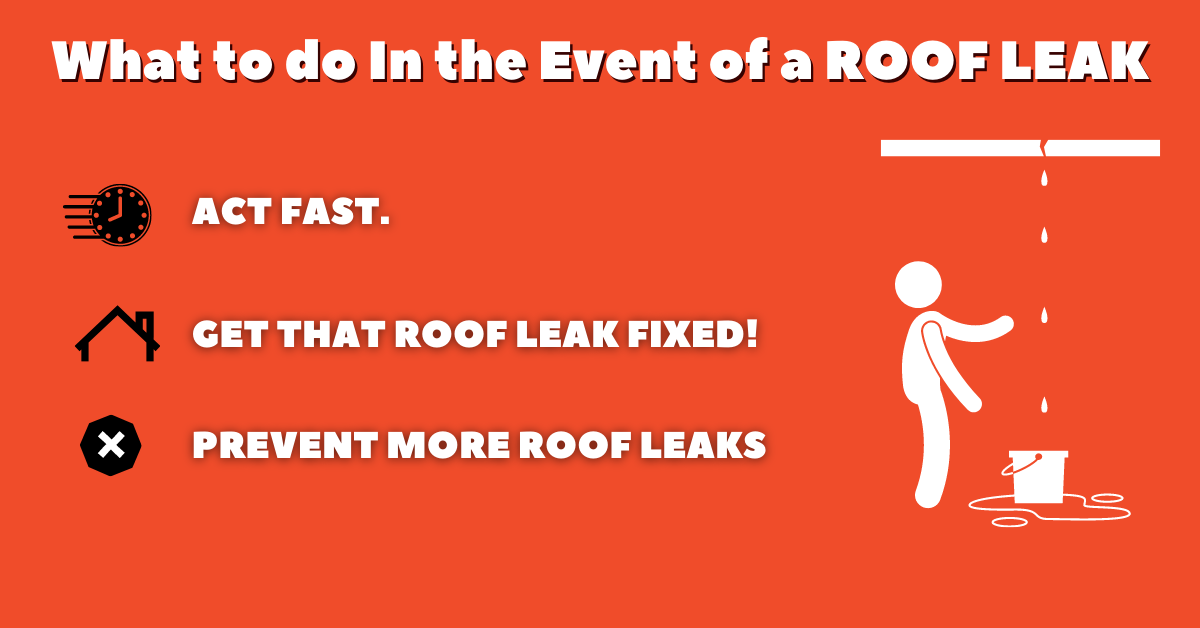 What to do In the Event of a Roof Leak