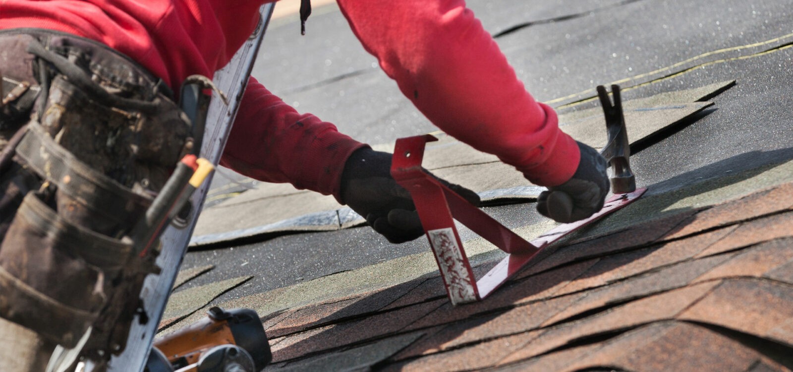 Damaged Roof?