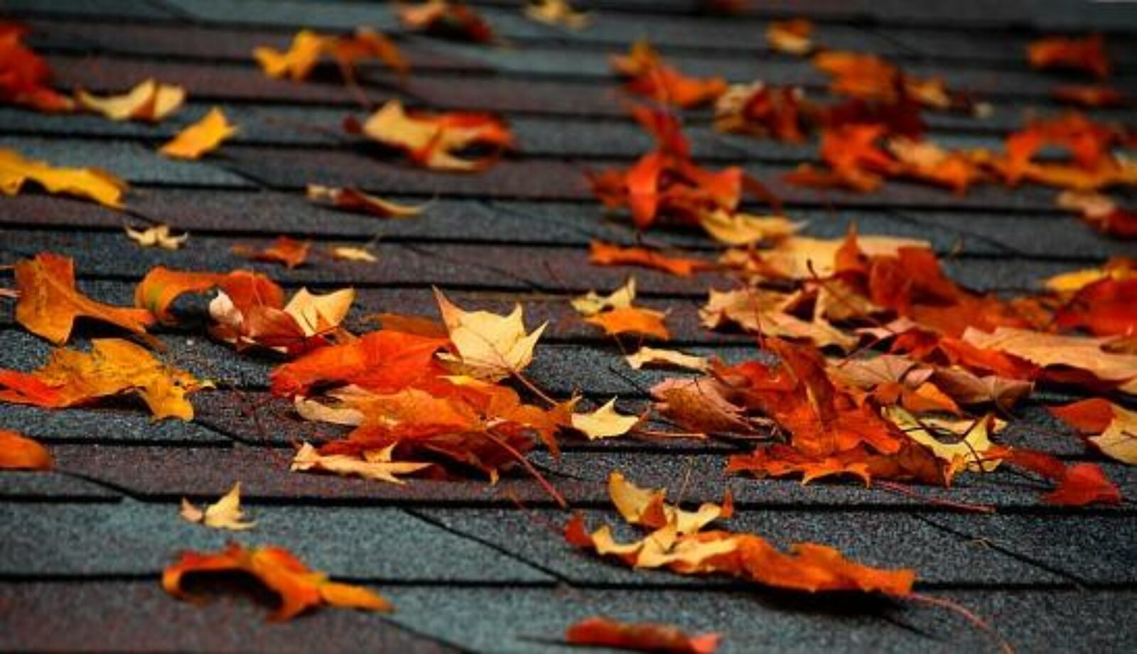 What Professional Roof Inspectors Look for Before the Cold Sets In