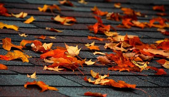 Prepare Your Roof and Gutters for Fall Before the Weather Hits