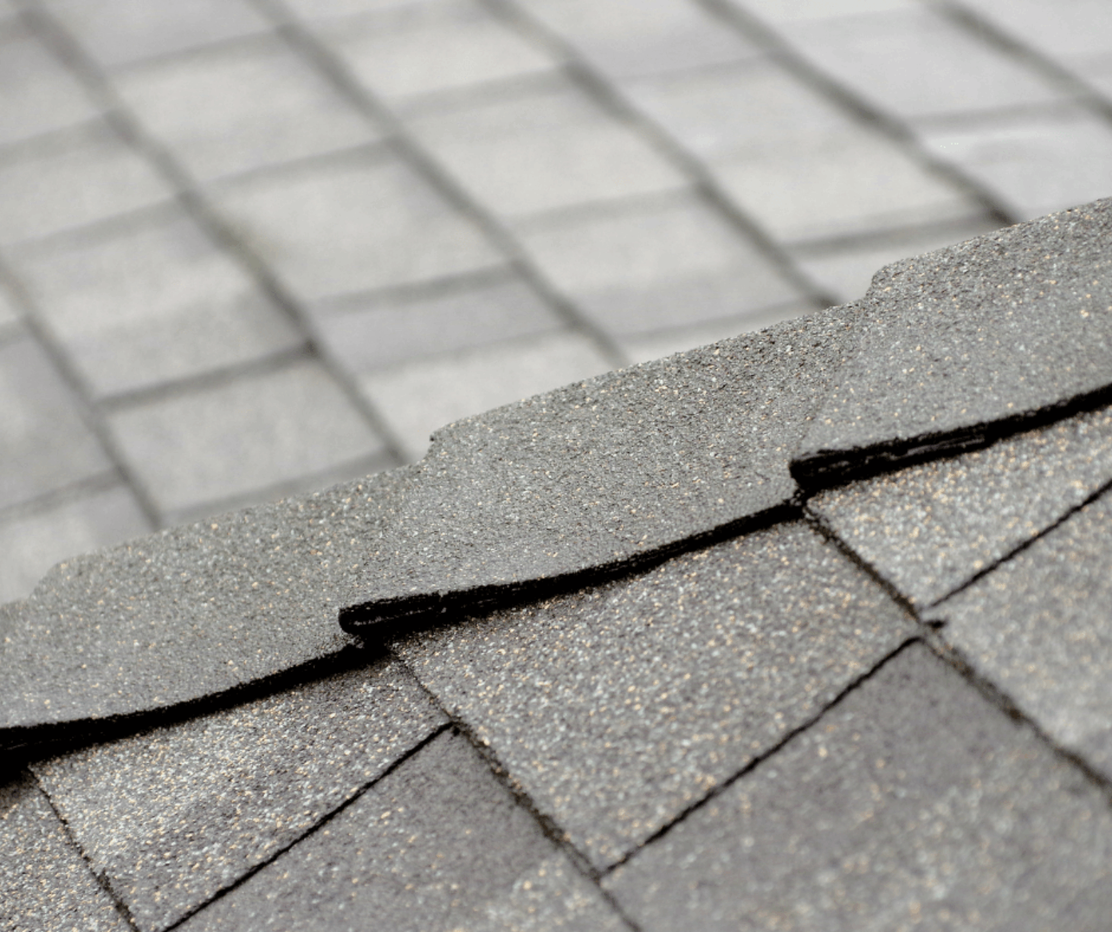Don’t Ignore Roof Damage: How Delaying Repairs Can Affect Your Whole Home