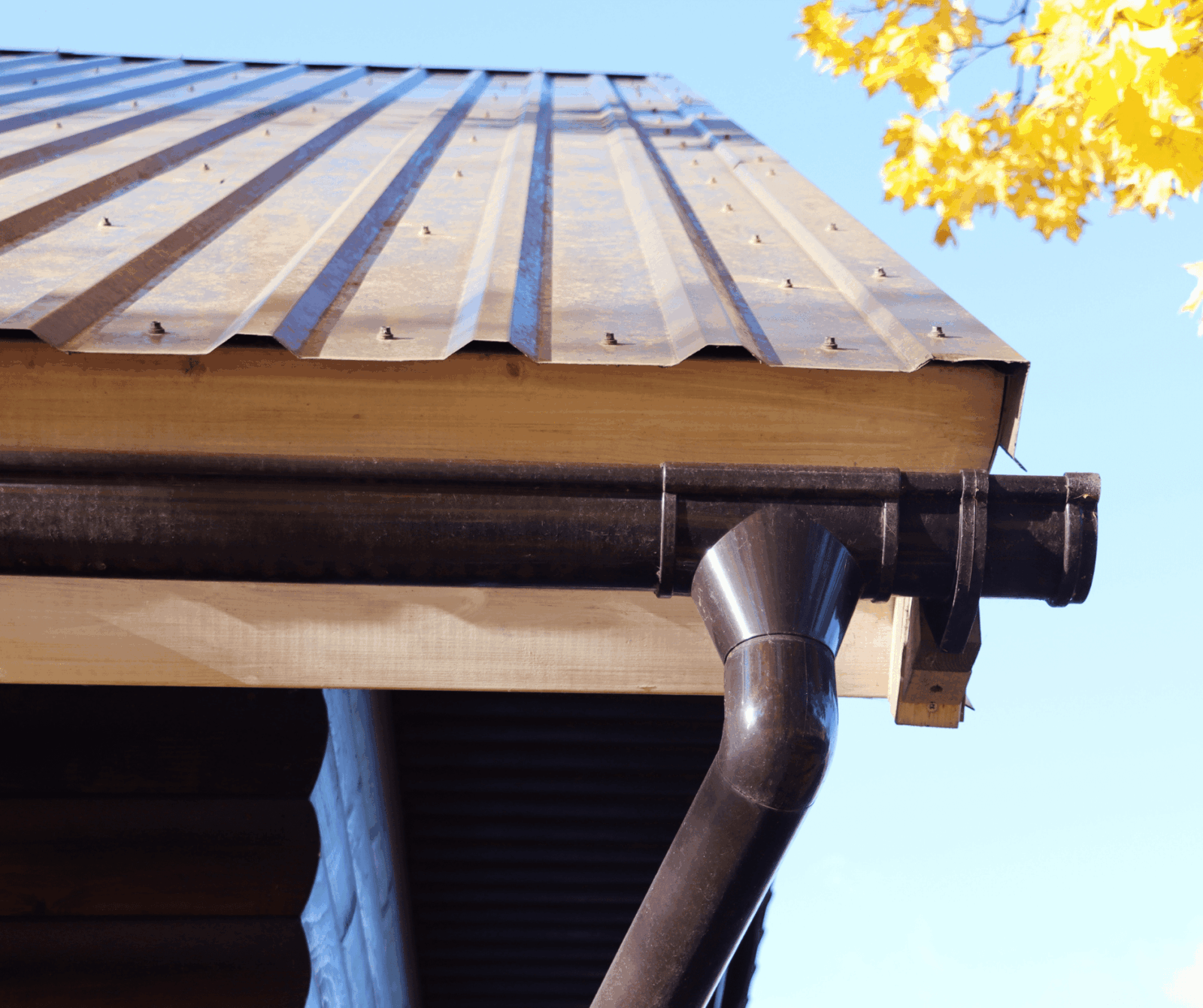 Common Gutter Problems and How to Prevent Them
