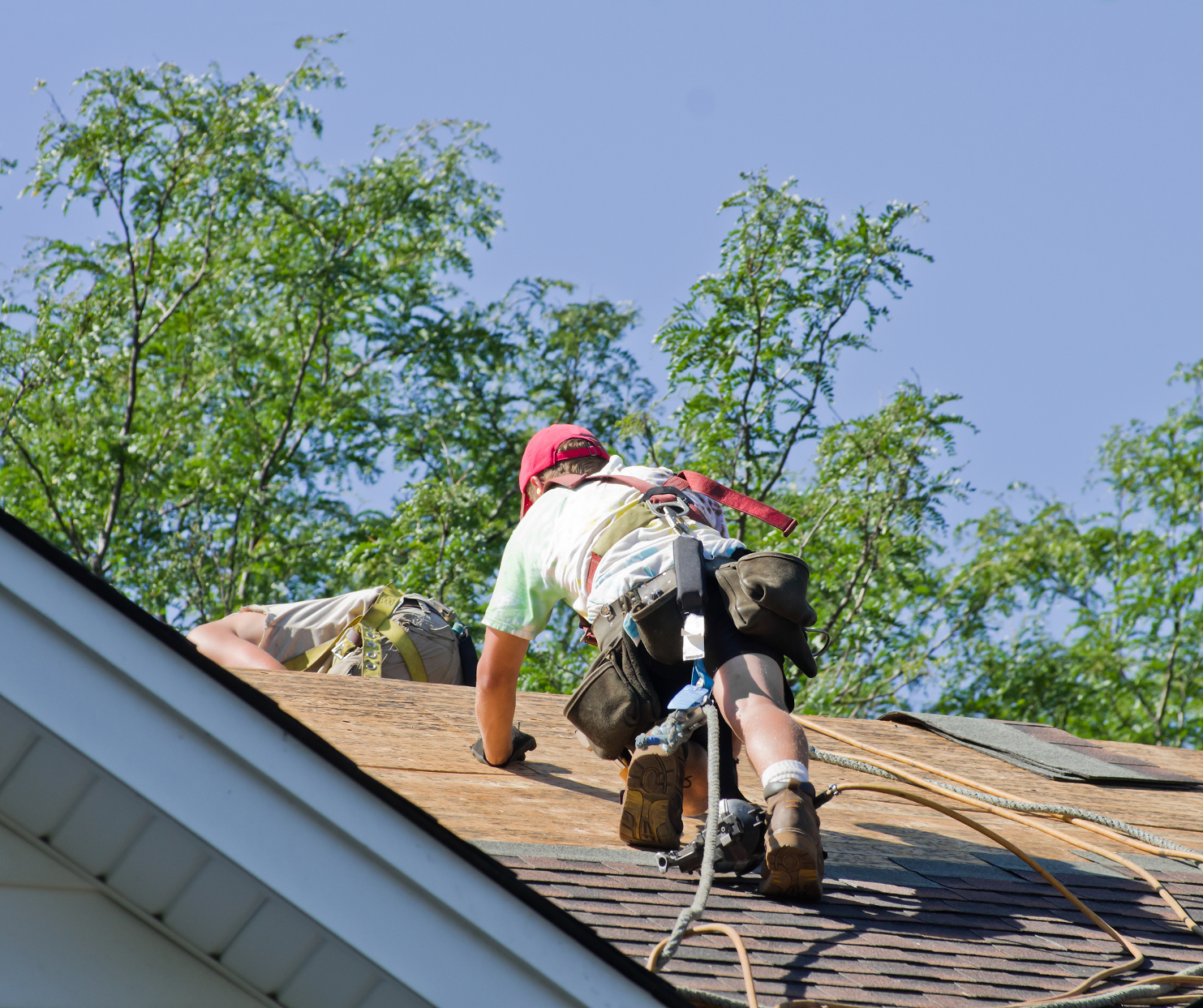 Is Your Roof Ready for Fall? 5 Things Homeowners Should Check in August