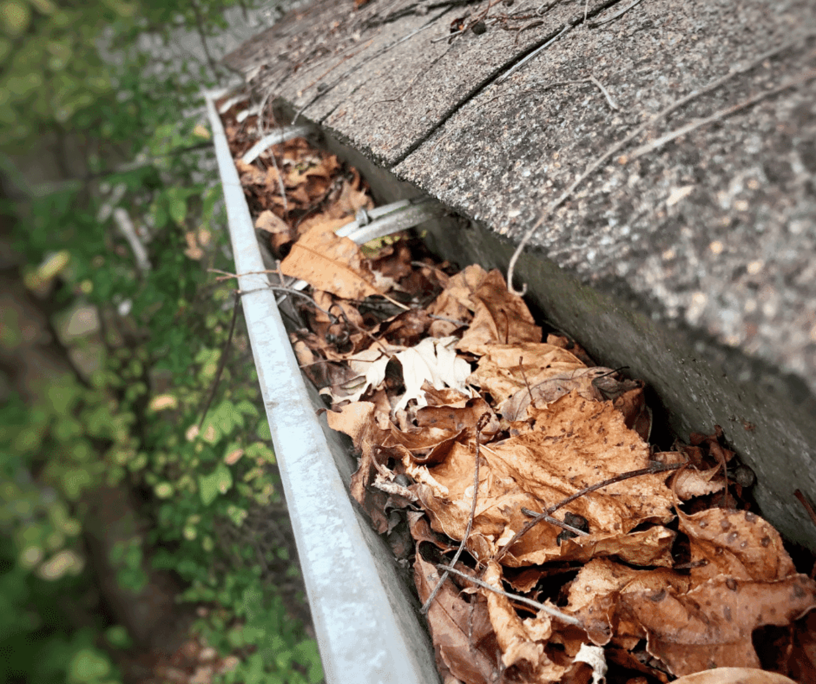 The Autumn Drainage Checklist: Why Clean Gutters Save Your Roof